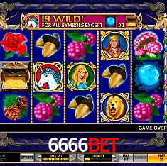 6666bet Brasília - VIP Program